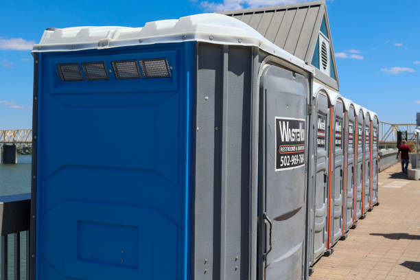 Best Tree Cabling and Bracing  in Clayton, NM
